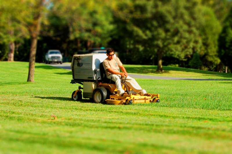 Seasonal Clean-Ups